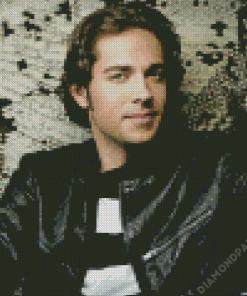 Zachary Levi Diamond Painting