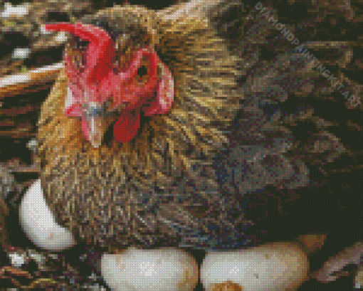 Chicken Eggs Diamond Painting