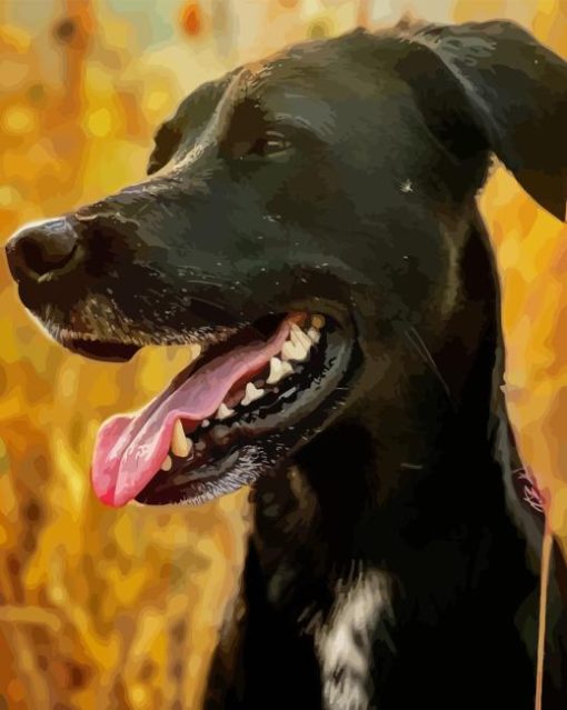 Mountain Cur Diamond Painting