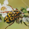 Chafer Scarab Diamond Painting