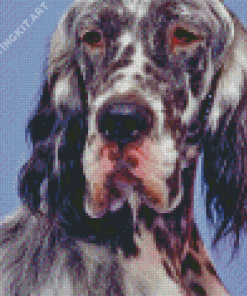 English Setter Diamond Painting