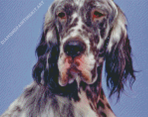 English Setter Diamond Painting