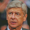 Arsene Wenger Diamond Painting