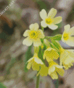 Cowslip Flowers Diamond Painting