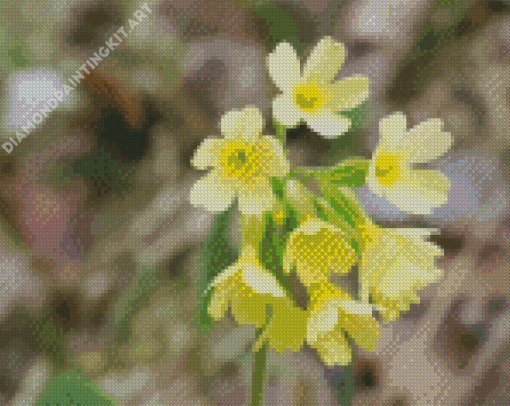 Cowslip Flowers Diamond Painting