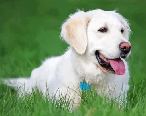 Cream Retriever Diamond Painting