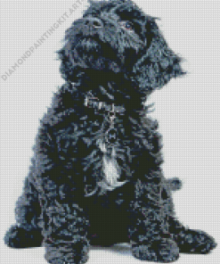 Portuguese Water Dog Diamond Painting