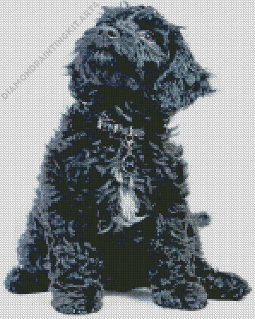 Portuguese Water Dog Diamond Painting