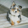 Mini Aussie Diamond Painting