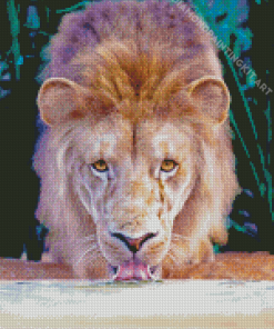 Drinking Lion Diamond Painting