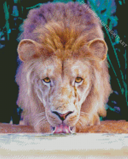 Drinking Lion Diamond Painting