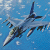 Fighting Falcon Diamond Painting