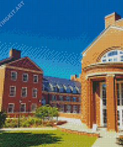 Georgia University Diamond Painting