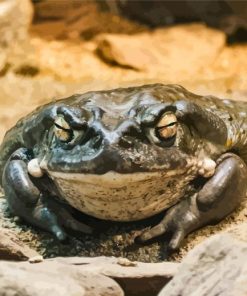 Green Toad Diamond Painting