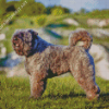 Bouvier Des Flandres Diamond Painting