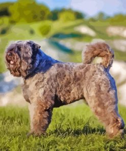 Bouvier Des Flandres Diamond Painting