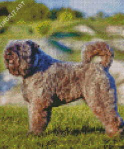 Bouvier Des Flandres Diamond Painting