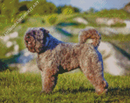 Bouvier Des Flandres Diamond Painting