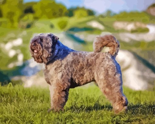 Bouvier Des Flandres Diamond Painting