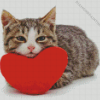 Cat With Heart Diamond Painting