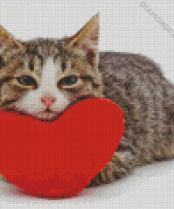 Cat With Heart Diamond Painting