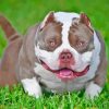 White American Bully Diamond Painting