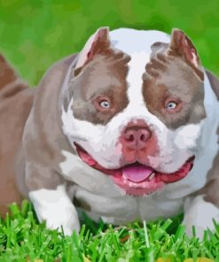 White American Bully Diamond Painting