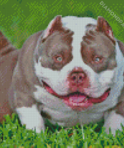 White American Bully Diamond Painting