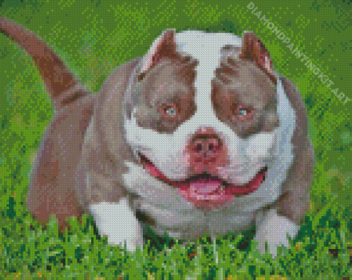 White American Bully Diamond Painting