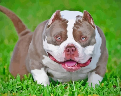 White American Bully Diamond Painting