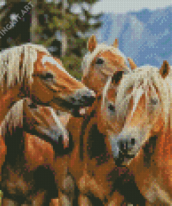 Haflingers Horses Diamond Painting