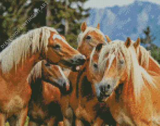 Haflingers Horses Diamond Painting