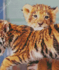 Lion And Tiger Diamond Painting