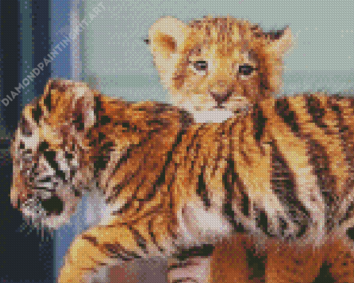 Lion And Tiger Diamond Painting