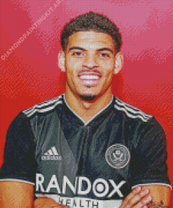 Morgan Gibbs White Diamond Painting