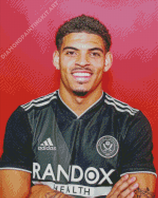 Morgan Gibbs White Diamond Painting