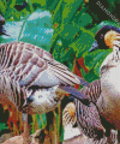 Geese Birds Diamond Painting