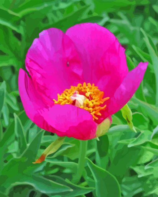 Peony Officinalis Diamond Painting