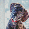 Plott Hound Diamond Painting