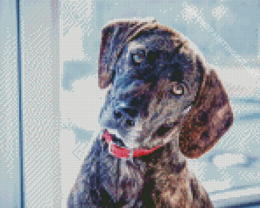 Plott Hound Diamond Painting