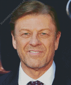 Sean Bean Diamond Painting