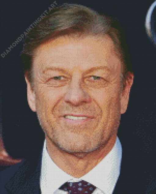 Sean Bean Diamond Painting