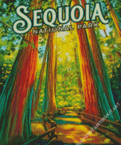 Sequoia Forest Diamond Painting