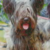 Skye Terrier Diamond Painting