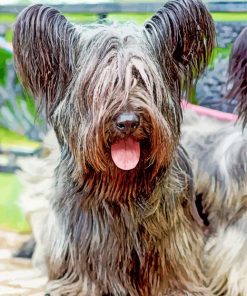 Skye Terrier Diamond Painting