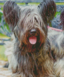 Skye Terrier Diamond Painting