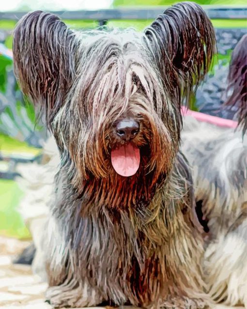 Skye Terrier Diamond Painting