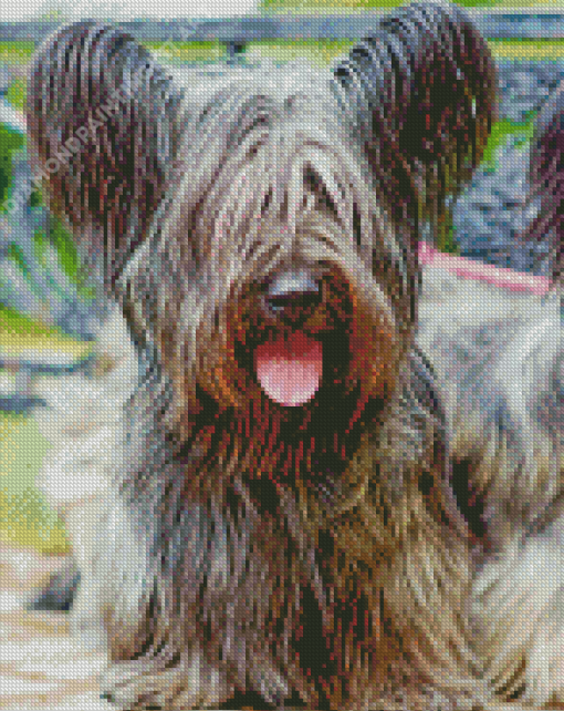 Skye Terrier Diamond Painting