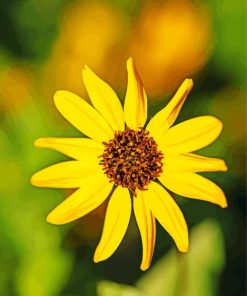 Small Sunflower Diamond Painting