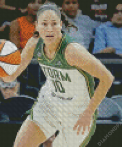 Sue Bird Diamond Painting